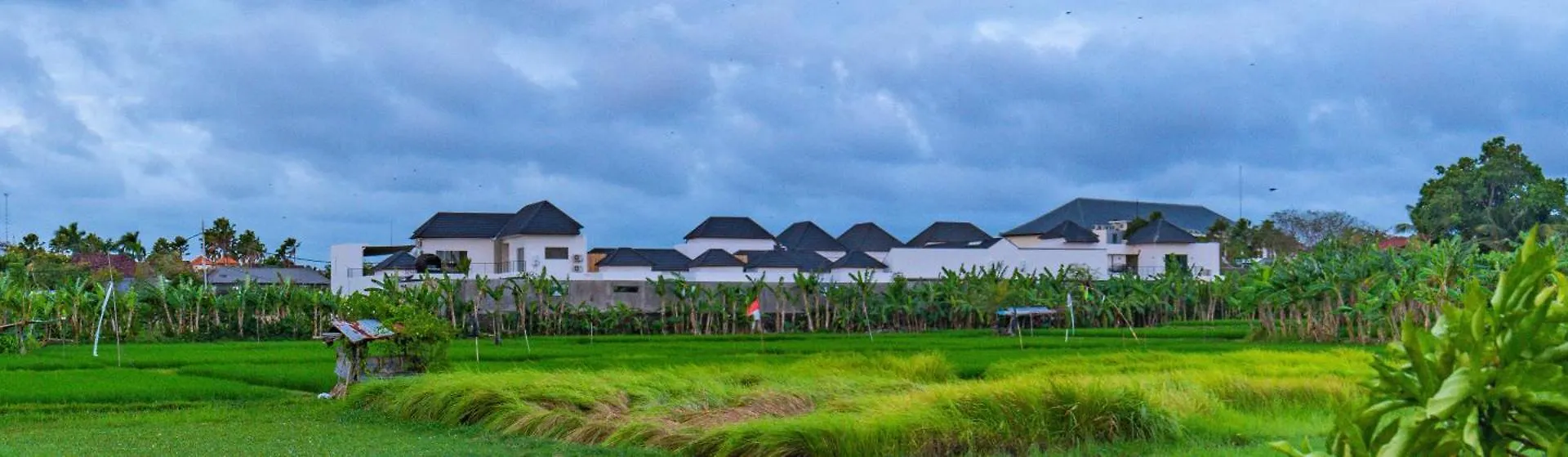 Villa Yolanda - Seminyak Beach Семиньяк