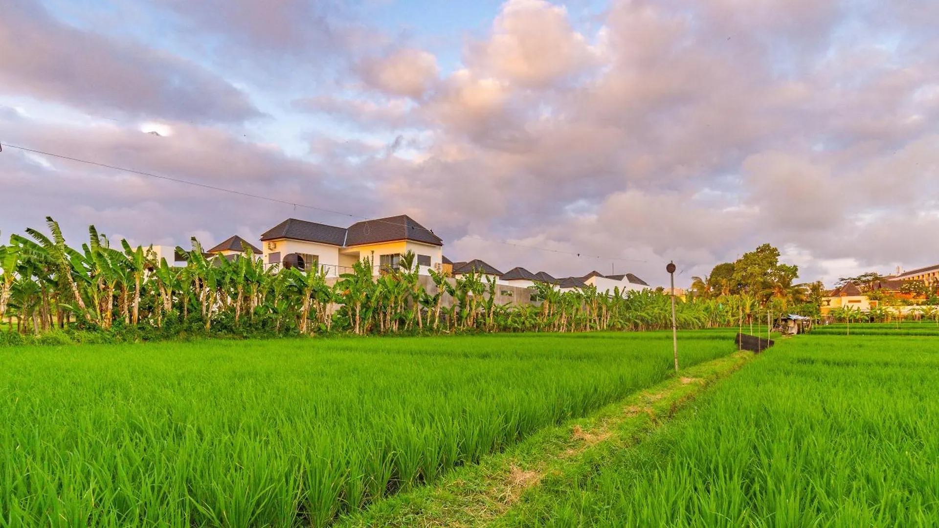 Villa Yolanda - Seminyak Beach 0*, סמיניאק